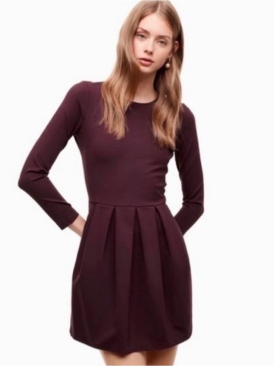 Sunday Best Dresses & Skirts - Sunday Best Aritzia Burgundy Tartine Long Sleeve Pleated Mini Dress